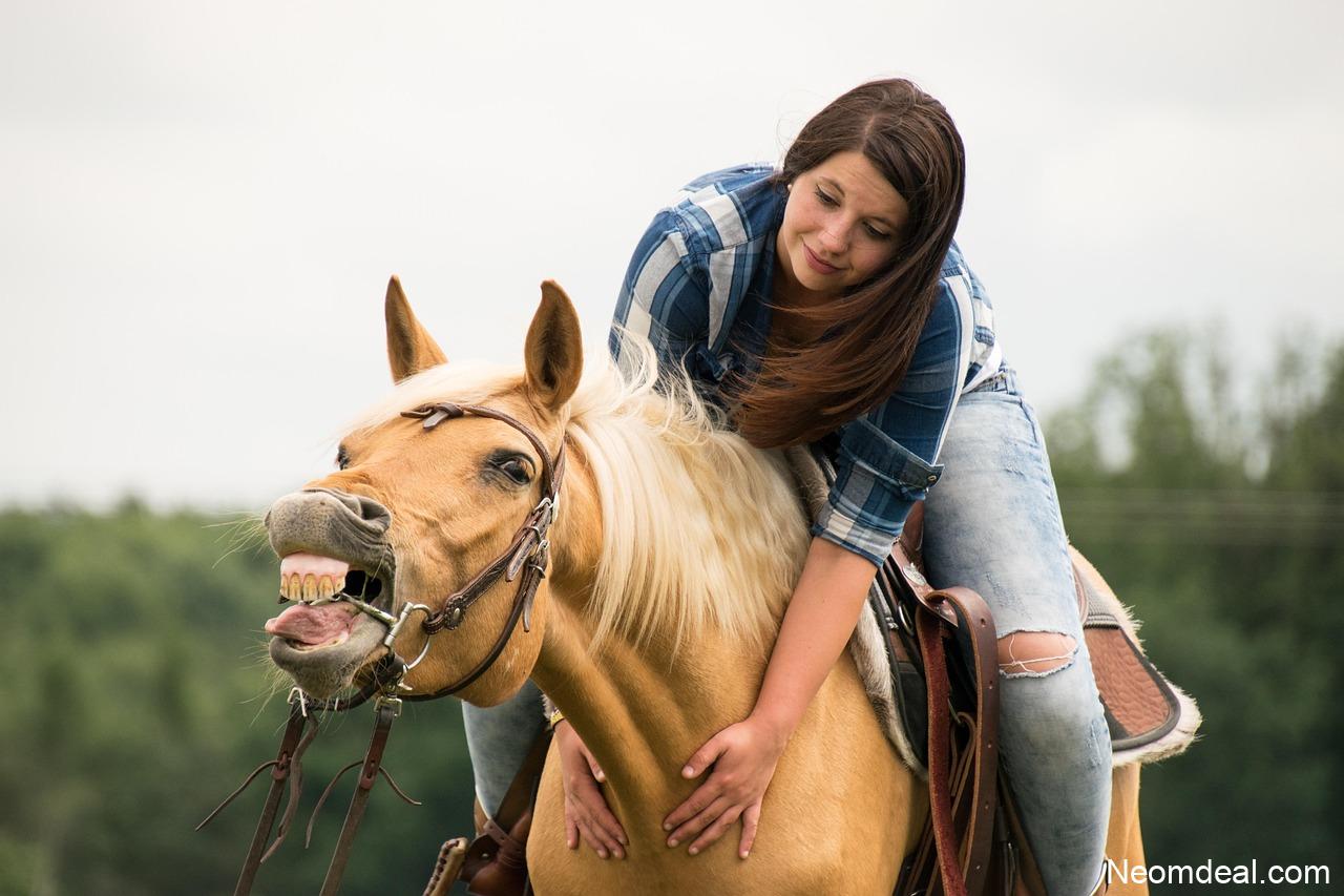 Micro-Websites Are Making a Quiet Comeback — Here’s Why - Trends