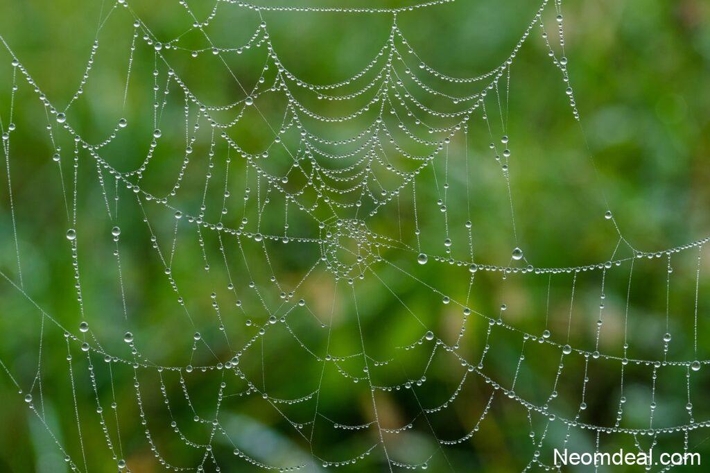 Web Projects Built by Solo Creators That Deserve More Attention - Internet Discoveries