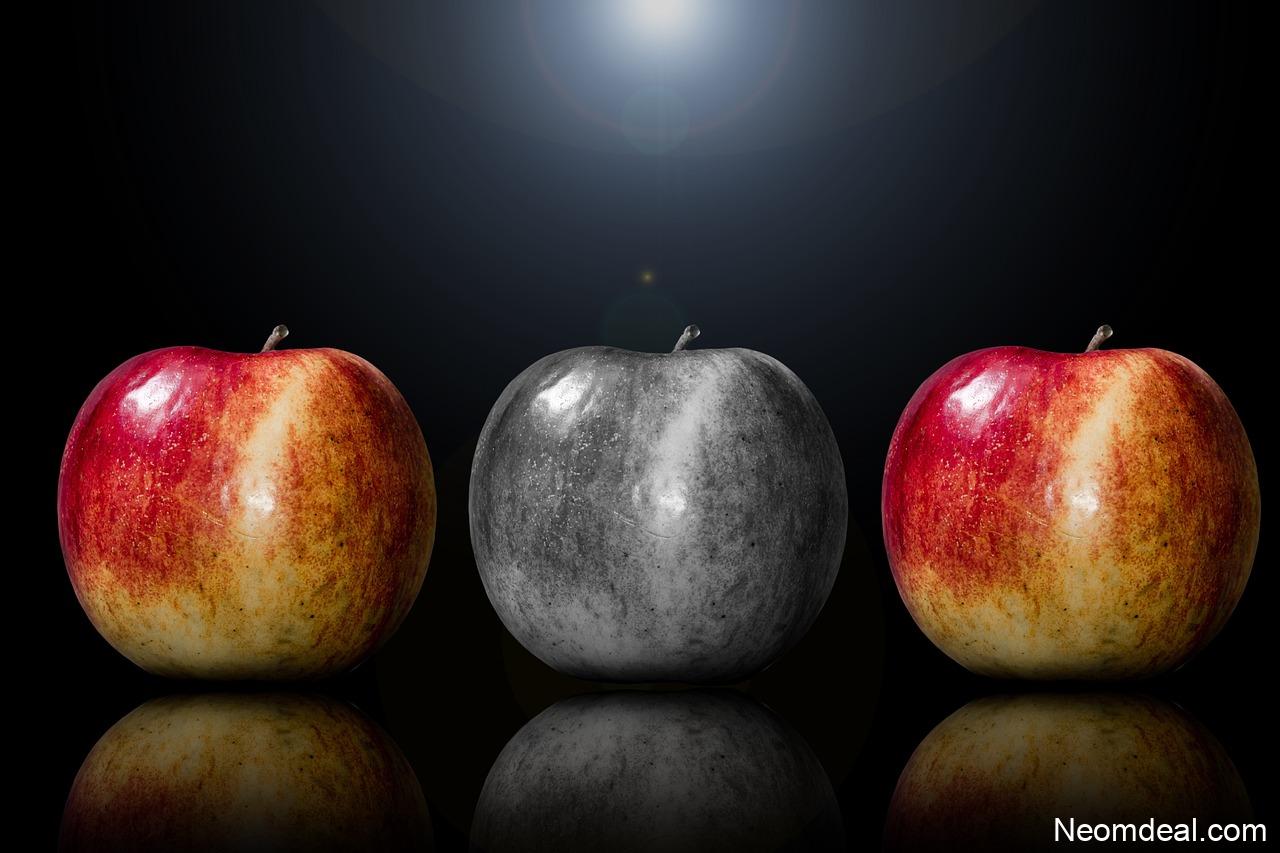 Websites Gaining Attention for Their Unique Ideas - Internet Discoveries