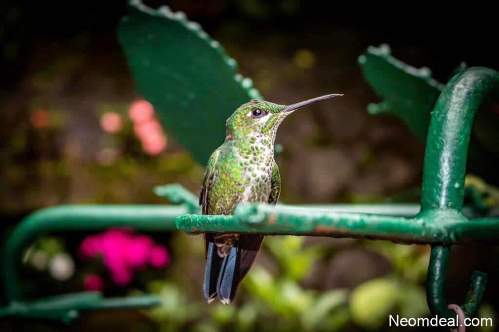 10 Small Websites Quietly Doing Brilliant Things in 2026 - Internet Discoveries