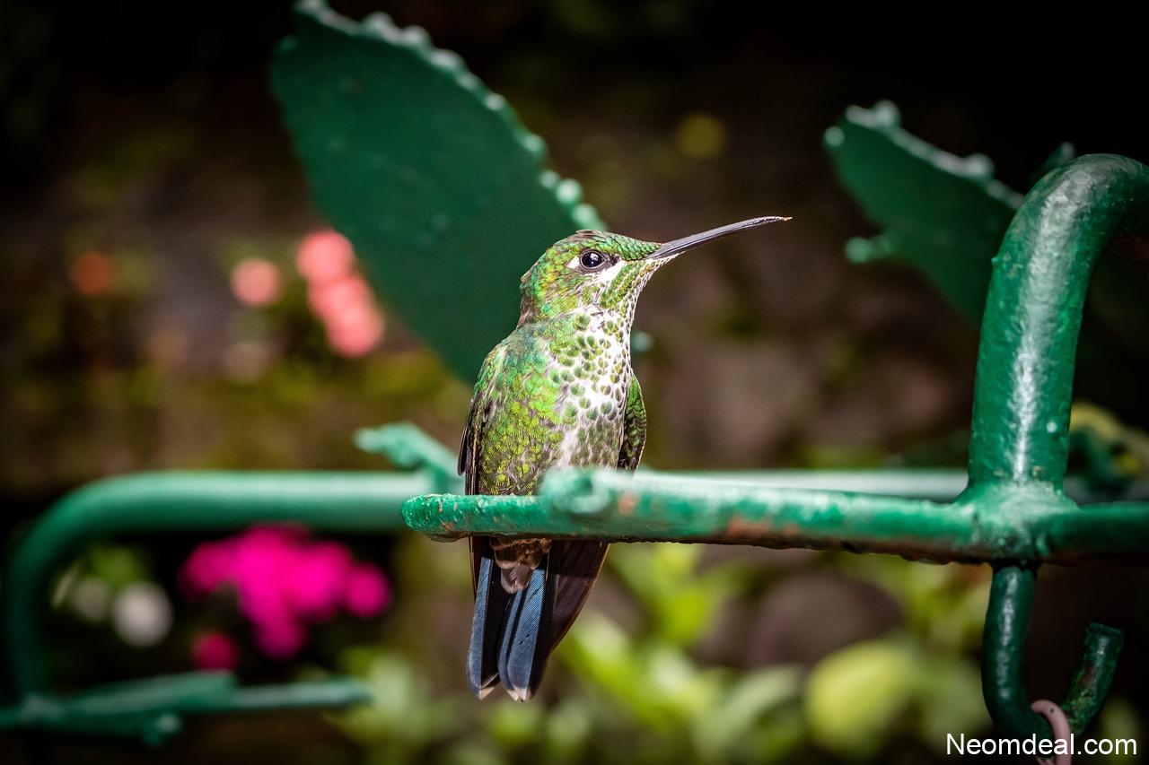 10 Small Websites Quietly Doing Brilliant Things in 2026 - Internet Discoveries