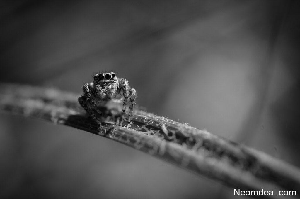 Tiny Web Apps That Solve Very Specific Problems Perfectly - Tools