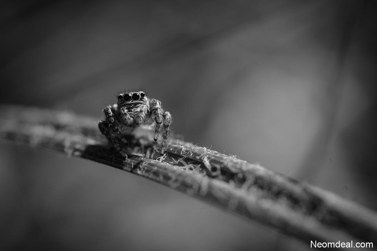 Tiny Web Apps That Solve Very Specific Problems Perfectly - Tools