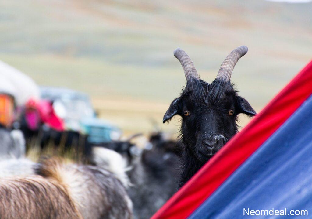 Free Learning Platforms You’ve Probably Never Heard Of - Resources