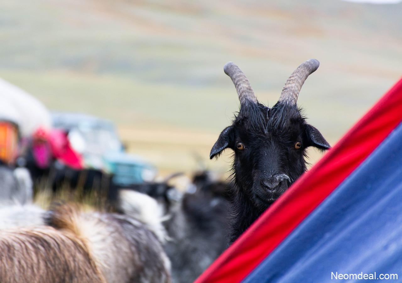 Free Learning Platforms You’ve Probably Never Heard Of - Resources