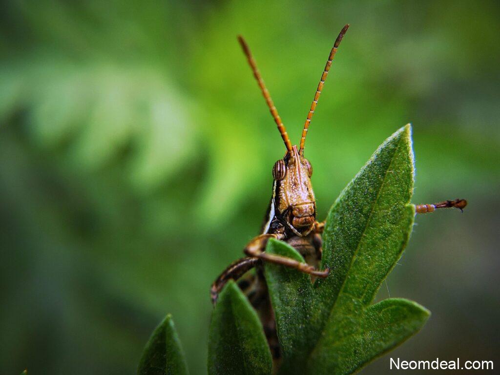 Simple Digital Systems That Help You Focus Better - Productivity